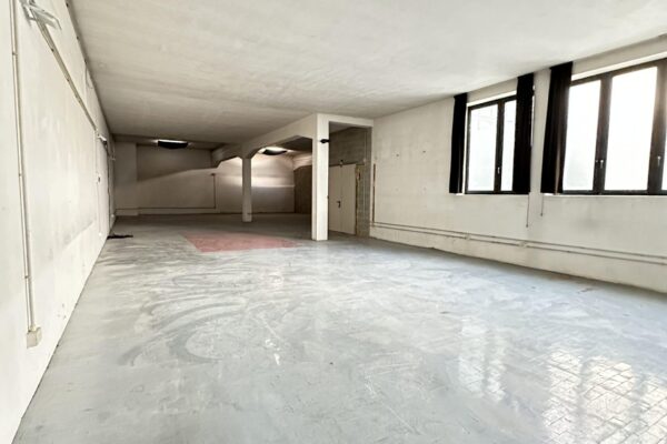 progetto-immobiliare-milano-vigentino