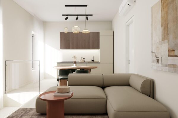 Sala con cucina e ingresso